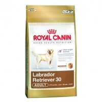 Royal Canin labrador retriever Adult