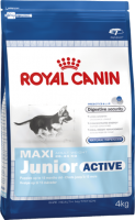 Royal Canin Maxi Junior Active